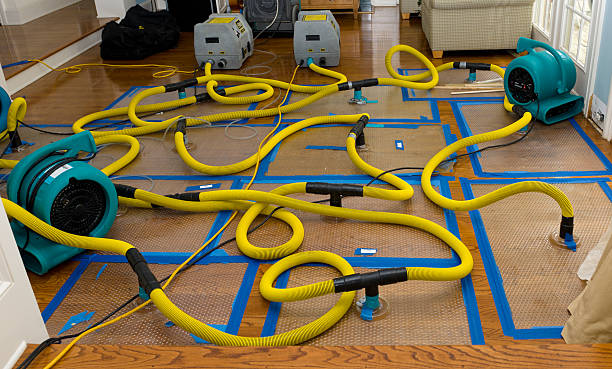 Professional Water Damage Repair technician working in Lane City, TX
